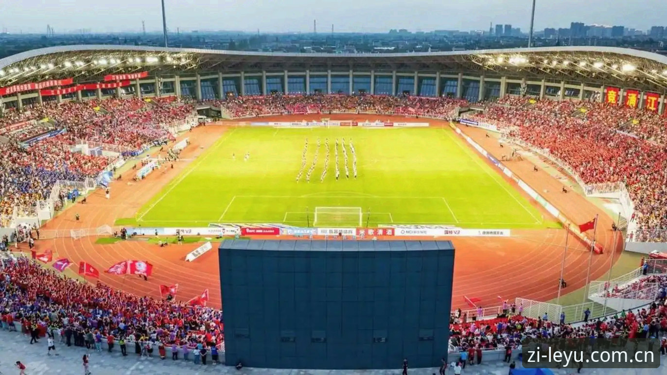 夏窗引援二选一：瓦吉奇去留与本土边卫的辽宁铁人数据比对