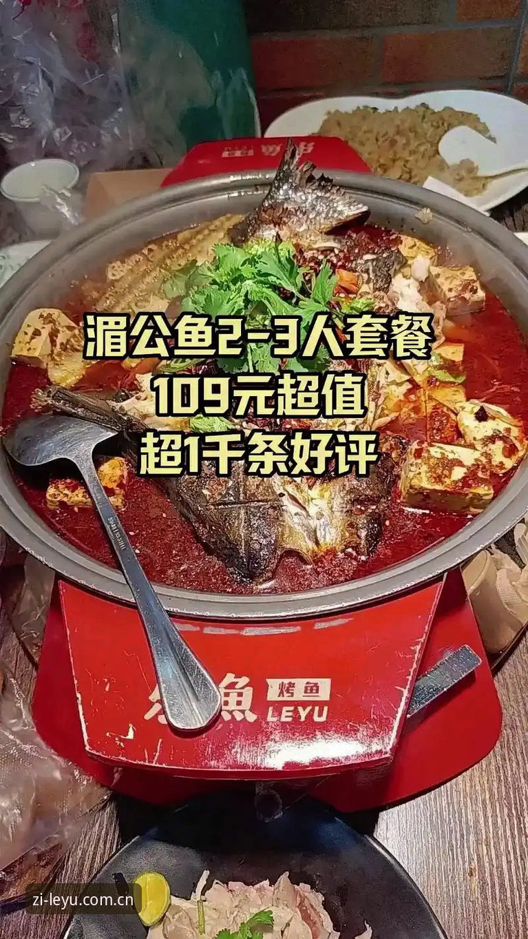 乐鱼APP2025中国官网登录评测：从繁琐到无缝的跨越